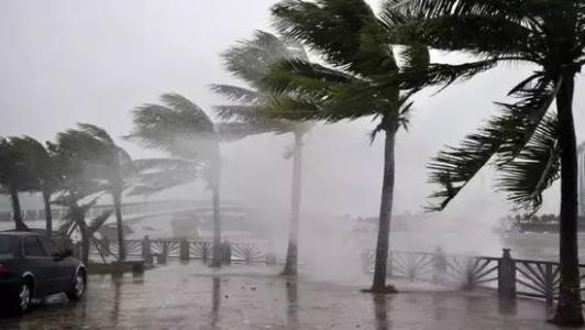 8月臺(tái)風(fēng)雨即將來，除濕機(jī)還得用起來