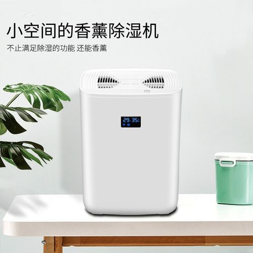 清明過后，潮氣噠噠，怎么除潮？