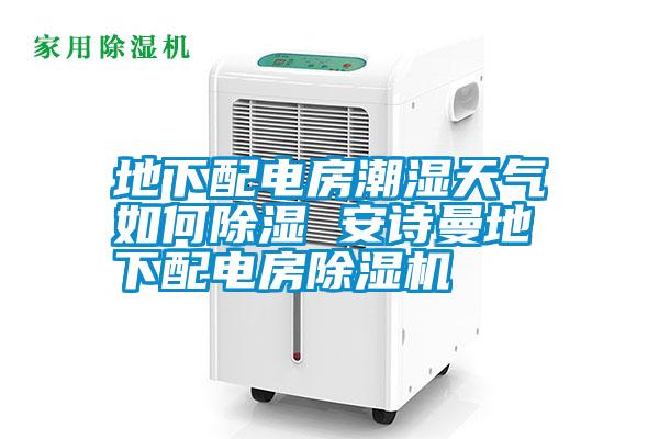 地下配電房潮濕天氣如何除濕 安詩曼地下配電房除濕機(jī)