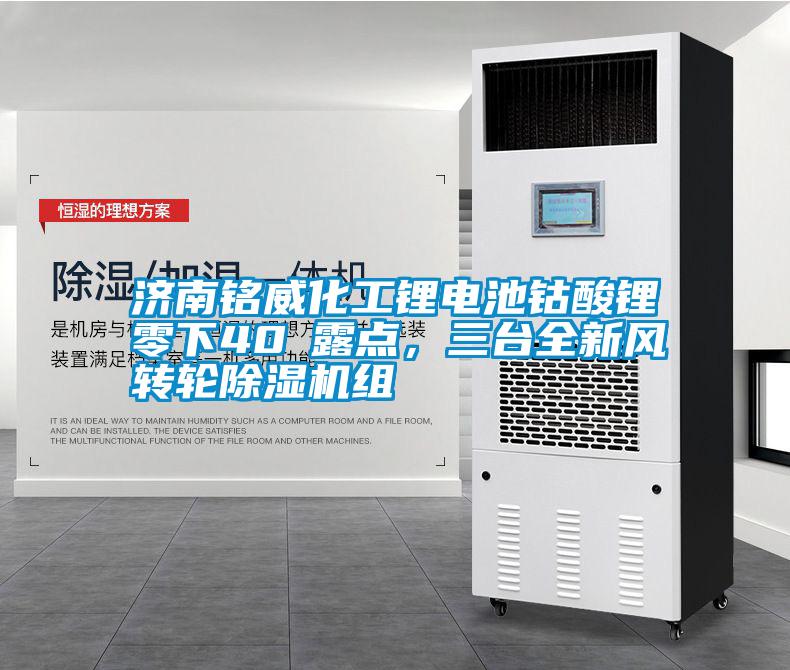 濟(jì)南銘威化工鋰電池鈷酸鋰零下40℃露點(diǎn)，三臺(tái)全新風(fēng)轉(zhuǎn)輪除濕機(jī)組