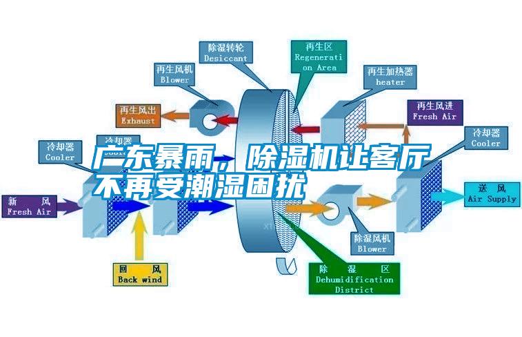 廣東暴雨，除濕機讓客廳不再受潮濕困擾