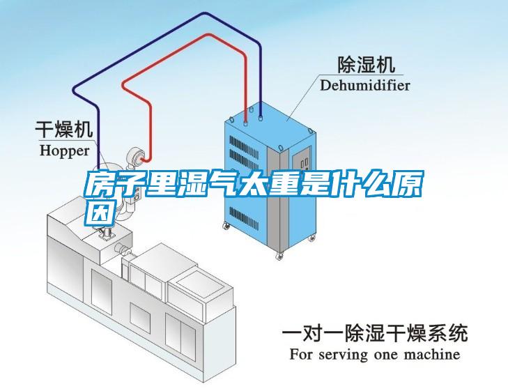 房子里濕氣太重是什么原因