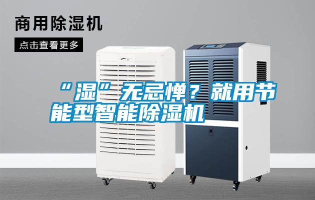 “濕”無忌憚？就用節(jié)能型智能除濕機(jī)