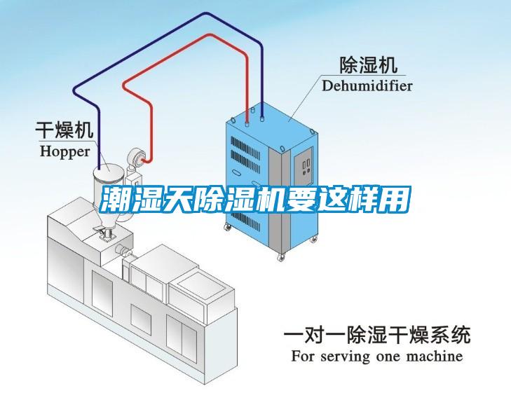 潮濕天除濕機要這樣用