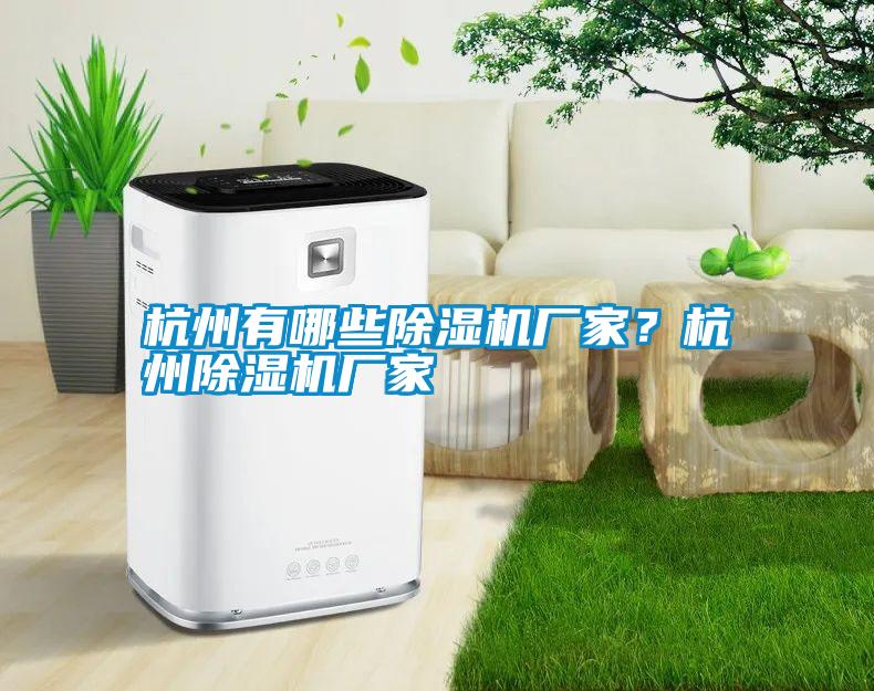 杭州有哪些除濕機(jī)廠家？杭州除濕機(jī)廠家