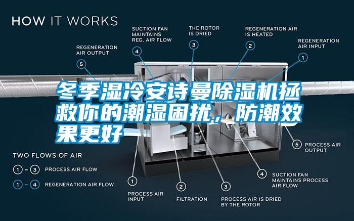 冬季濕冷安詩(shī)曼除濕機(jī)拯救你的潮濕困擾，防潮效果更好