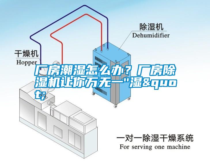 廠房潮濕怎么辦？廠房除濕機(jī)讓你萬無一''濕"