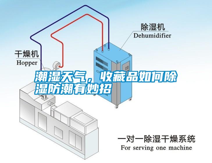 潮濕天氣，收藏品如何除濕防潮有妙招