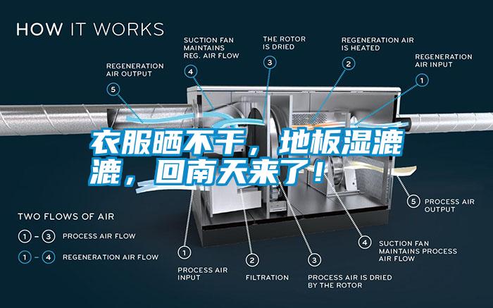 衣服曬不干，地板濕漉漉，回南天來(lái)了！