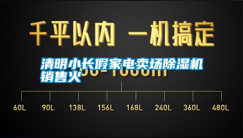 清明小長假家電賣場除濕機銷售火