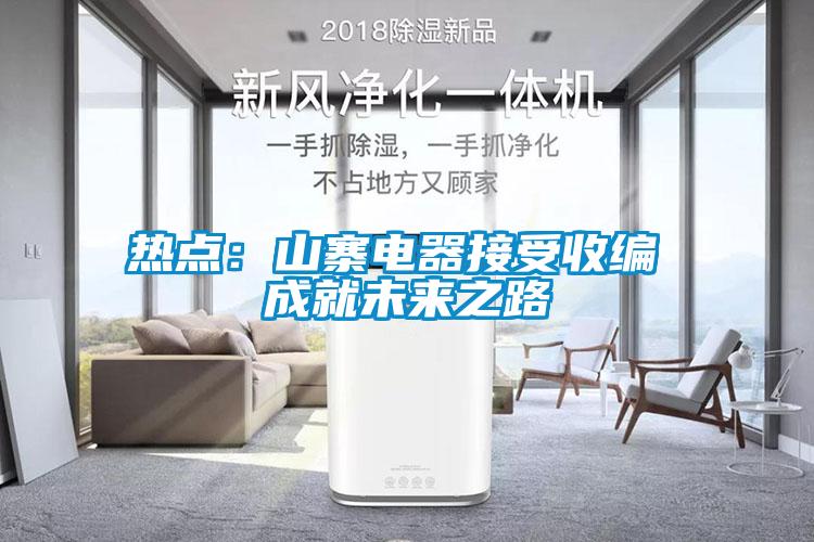 熱點：山寨電器接受收編 成就未來之路