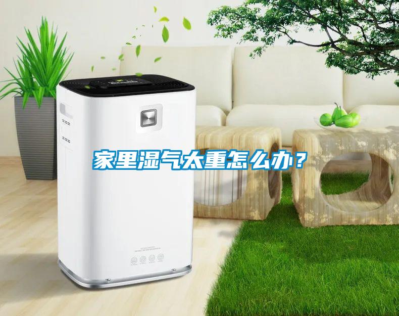 家里濕氣太重怎么辦？