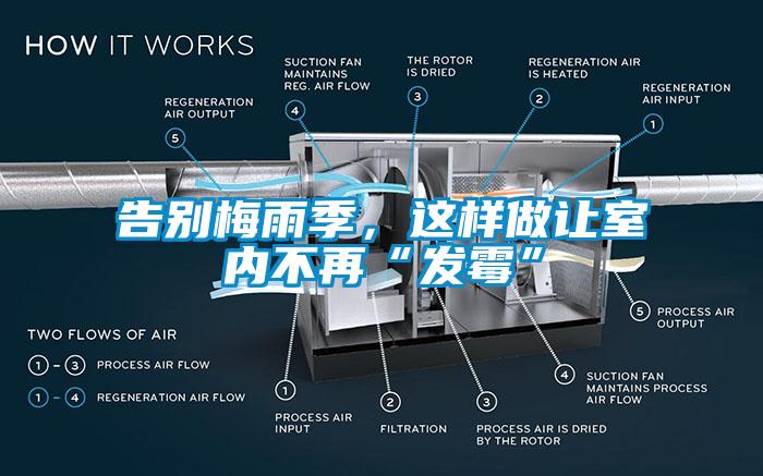 告別梅雨季，這樣做讓室內(nèi)不再“發(fā)霉”