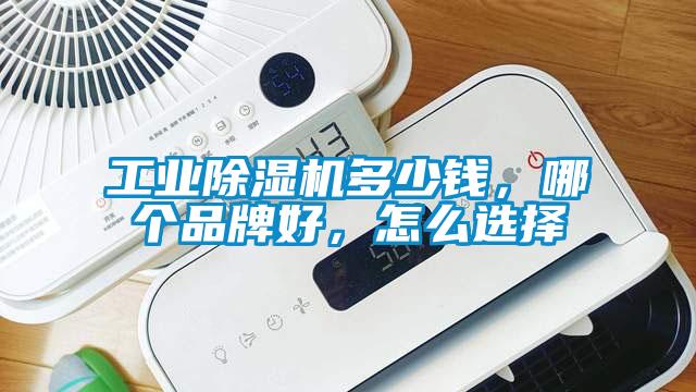 工業(yè)除濕機多少錢，哪個品牌好，怎么選擇