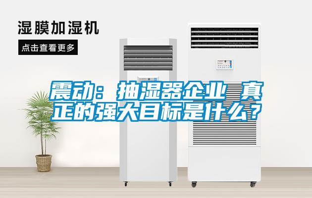 震動：抽濕器企業(yè) 真正的強大目標是什么？