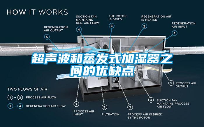 超聲波和蒸發(fā)式加濕器之間的優(yōu)缺點(diǎn)