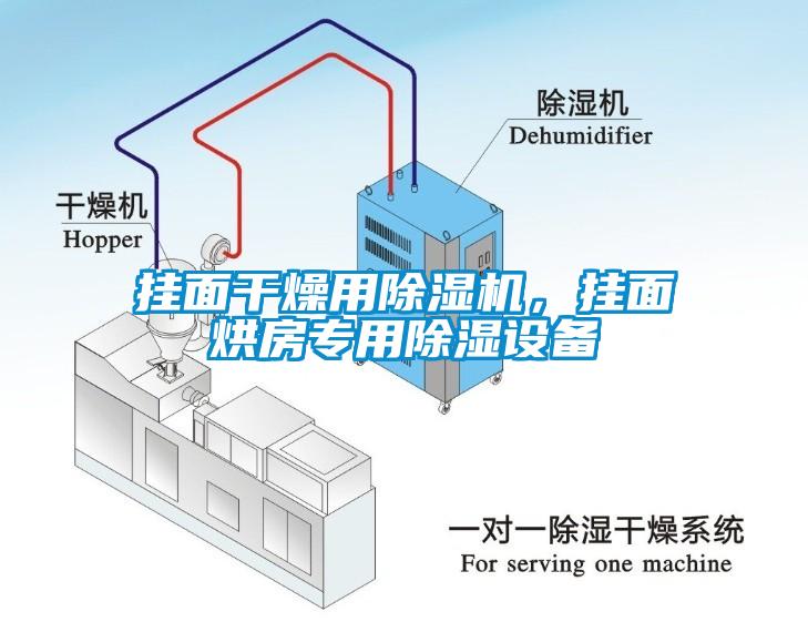 掛面干燥用除濕機，掛面烘房專用除濕設備