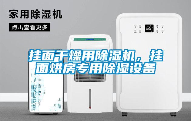 掛面干燥用除濕機(jī)，掛面烘房專用除濕設(shè)備