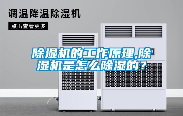 除濕機的工作原理,除濕機是怎么除濕的？