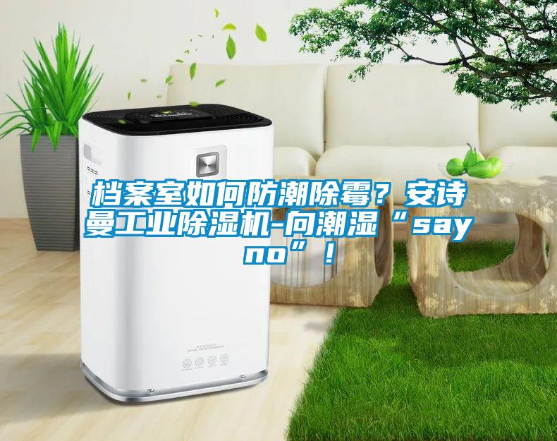 檔案室如何防潮除霉？安詩(shī)曼工業(yè)除濕機(jī)-向潮濕“say no”！