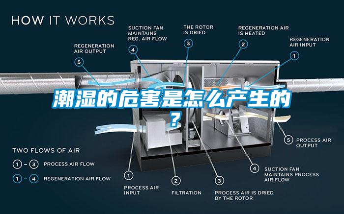 潮濕的危害是怎么產(chǎn)生的？