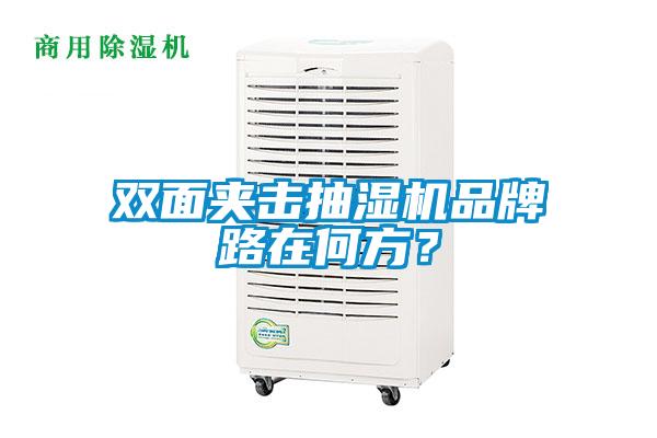 雙面夾擊抽濕機(jī)品牌路在何方？