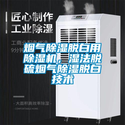 煙氣除濕脫白用除濕機，濕法脫硫煙氣除濕脫白技術