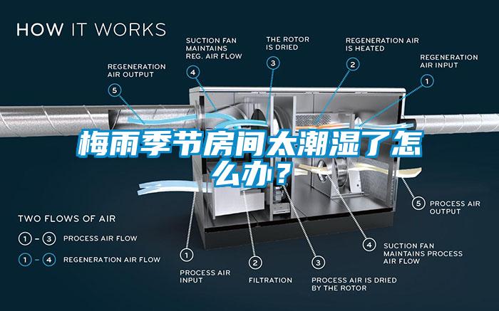 梅雨季節(jié)房間太潮濕了怎么辦？