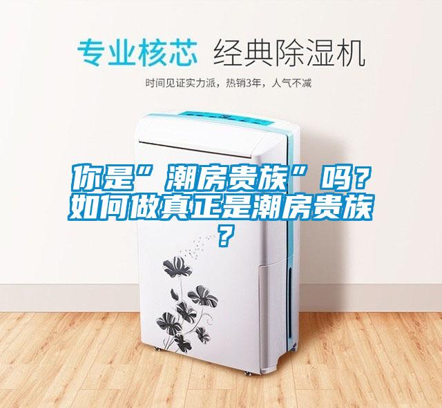 你是”潮房貴族”嗎？如何做真正是潮房貴族？