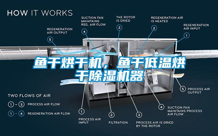 魚干烘干機，魚干低溫烘干除濕機器