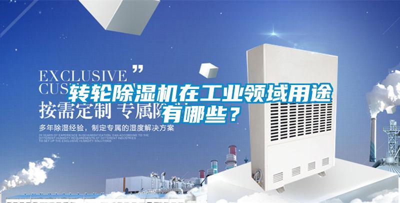 轉輪除濕機在工業(yè)領域用途有哪些？