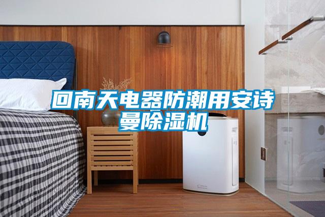 回南天電器防潮用安詩(shī)曼除濕機(jī)