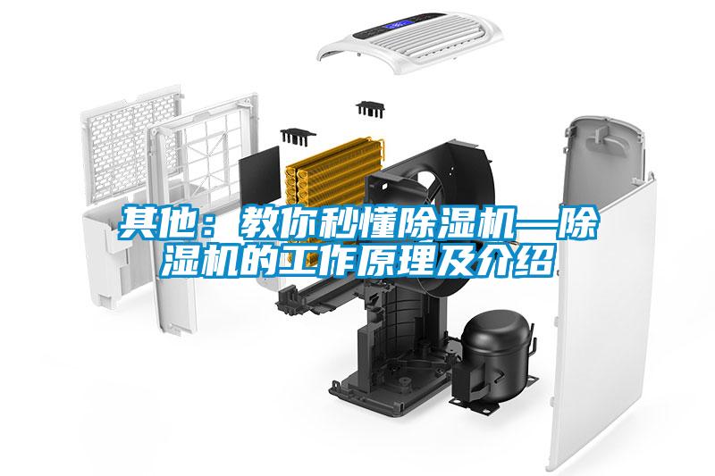 其他：教你秒懂除濕機—除濕機的工作原理及介紹