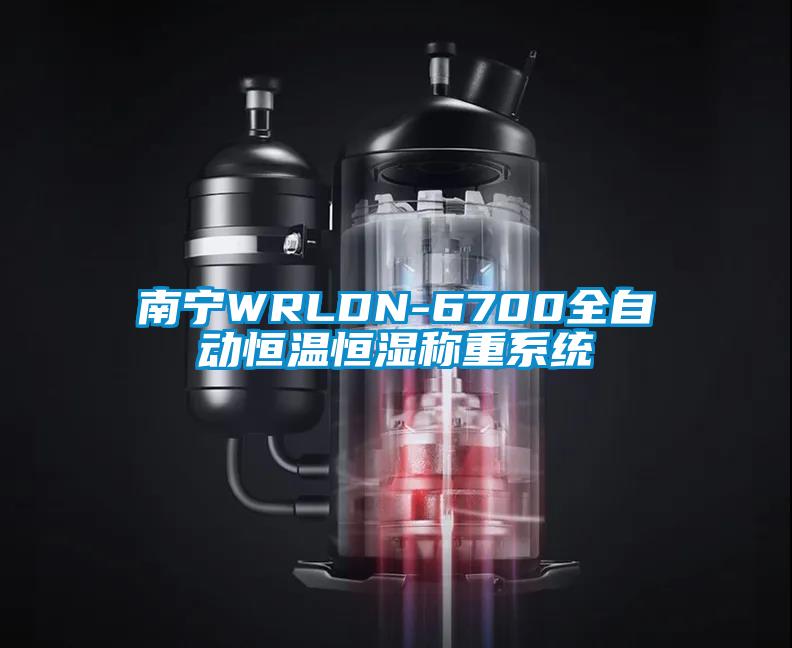 南寧WRLDN-6700全自動恒溫恒濕稱重系統(tǒng)