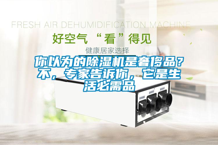 你以為的除濕機(jī)是奢侈品？不，專家告訴你，它是生活必需品