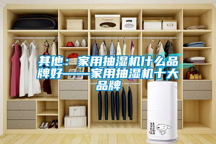 其他：家用抽濕機(jī)什么品牌好——家用抽濕機(jī)十大品牌