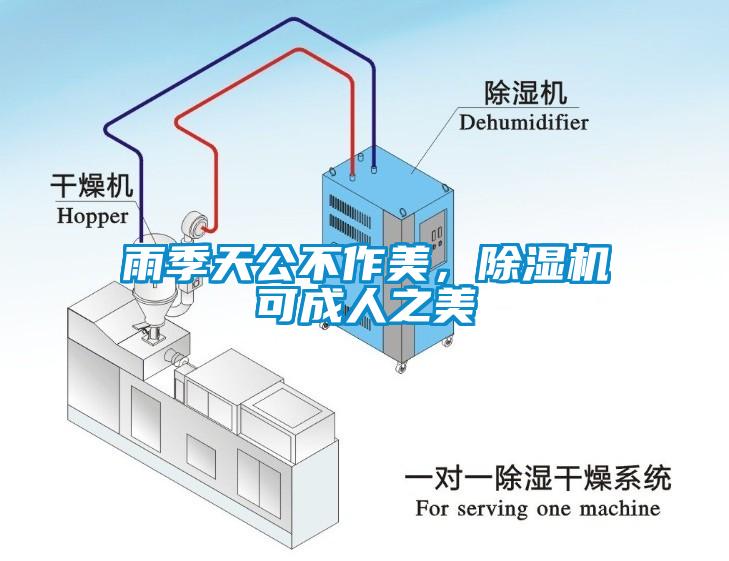 雨季天公不作美，除濕機可成人之美