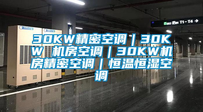 30KW精密空調(diào)｜30KW 機房空調(diào)｜30KW機房精密空調(diào)｜恒溫恒濕空調(diào)