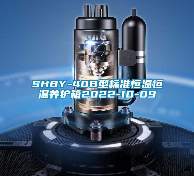 SHBY-40B型標(biāo)準(zhǔn)恒溫恒濕養(yǎng)護(hù)箱2022-10-09