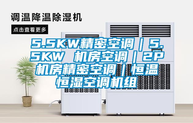 5.5KW精密空調(diào)｜5.5KW 機(jī)房空調(diào)｜2P機(jī)房精密空調(diào)｜恒溫恒濕空調(diào)機(jī)組