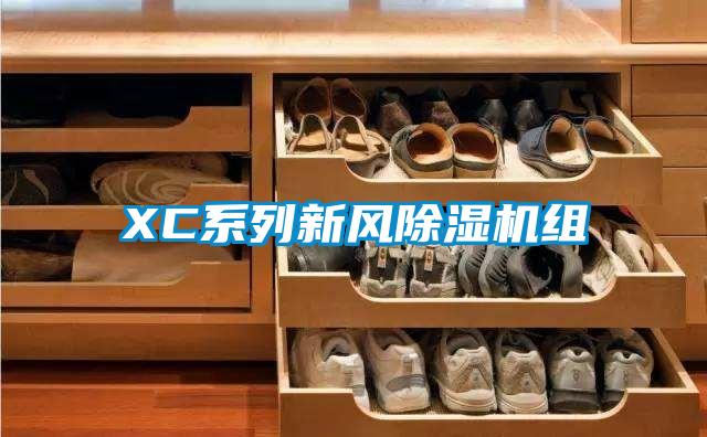 XC系列新風(fēng)除濕機(jī)組