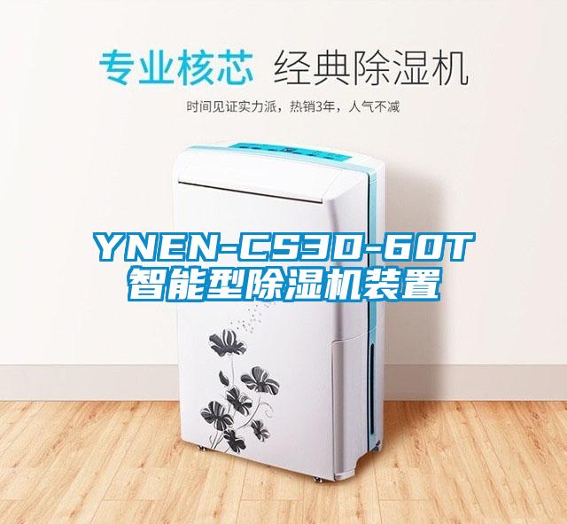 YNEN-CS3D-60T智能型除濕機(jī)裝置