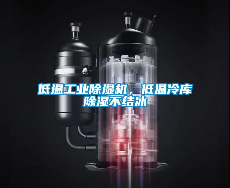 低溫工業(yè)除濕機，低溫冷庫除濕不結冰