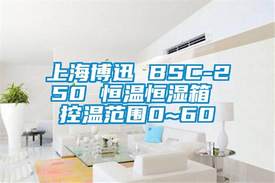 上海博迅 BSC-250 恒溫恒濕箱 控溫范圍0~60℃