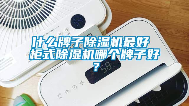 什么牌子除濕機(jī)最好 柜式除濕機(jī)哪個(gè)牌子好？