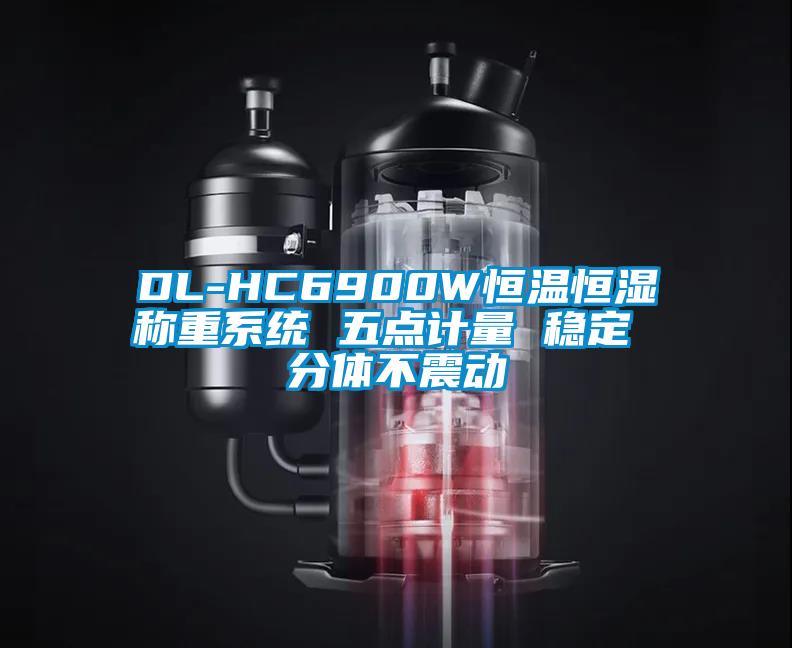 DL-HC6900W恒溫恒濕稱重系統(tǒng) 五點(diǎn)計(jì)量 穩(wěn)定 分體不震動(dòng)