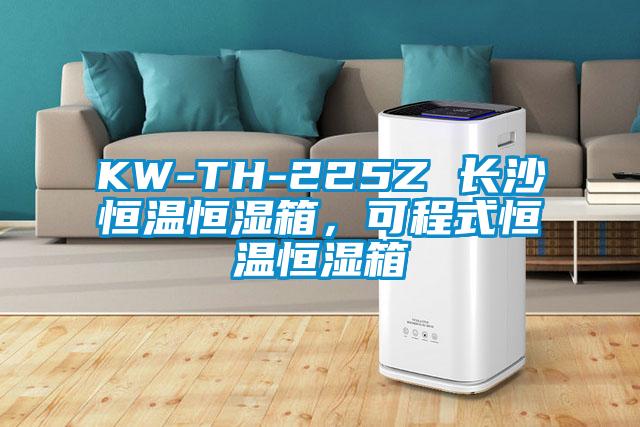 KW-TH-225Z 長沙恒溫恒濕箱，可程式恒溫恒濕箱