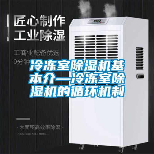 冷凍室除濕機(jī)基本介—冷凍室除濕機(jī)的循環(huán)機(jī)制