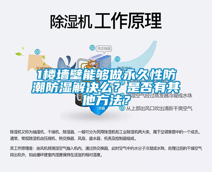 1樓墻壁能夠做永久性防潮防濕解決么？是否有其他方法？