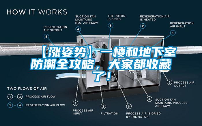 【漲姿勢】一樓和地下室防潮全攻略，大家都收藏了！